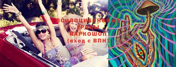 бошки Саяногорск